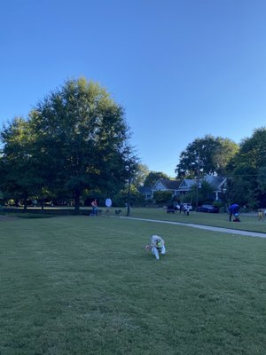 Cabbagetown Park by null
