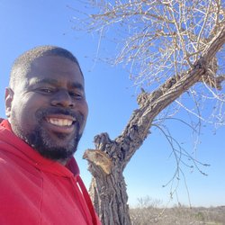 Family Tree Services