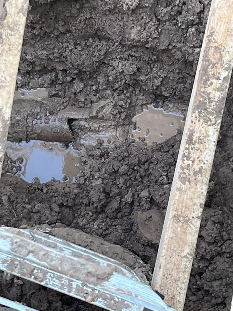 Slide of Most valuable Plumber