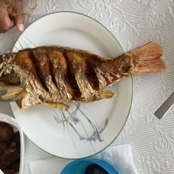 Disco Fish Restaurant & Grill - Fresh whole snapper fried fish - Seafood Near Me - West Miami, Florida