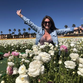 The Flower Fields - Venues & Event Spaces Near Me - Carlsbad, California The Flower Fields - Venues & Event Spaces Near Me - Carlsbad, California
