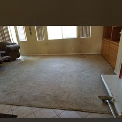 Pristine Carpet & Tile Cleaning