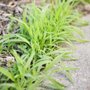 Photo of Wildlife Pest Control