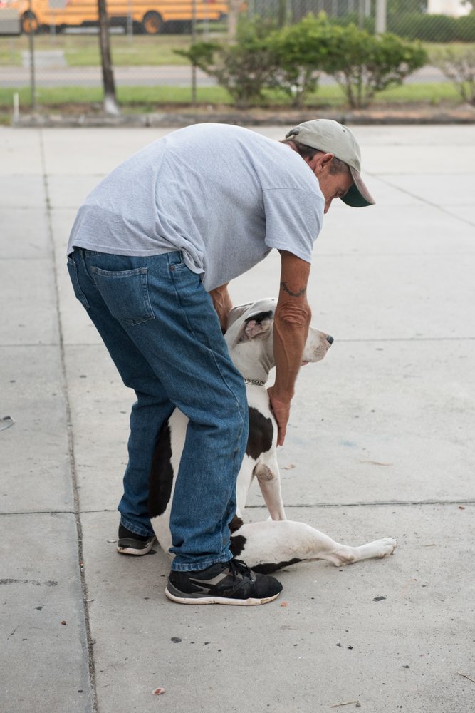 Slide of Drew Roofing