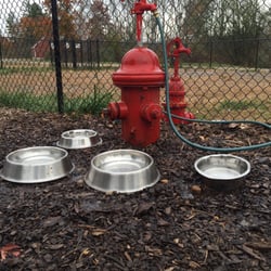 Paw Meadow Dog Park - Clean the bowls before use. They're gross.