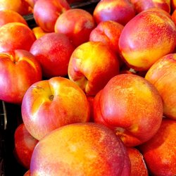 MacPherson's Fruit & Produce