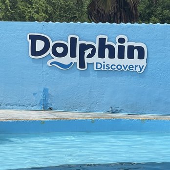 Dolphin Discovery - Amusement Parks Near Me - Nuevo Vallarta, NAY