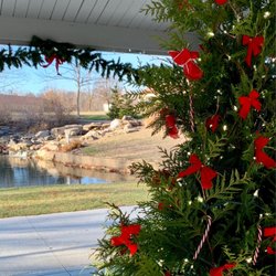 St. Peters City Centre Park - Christmas at the park