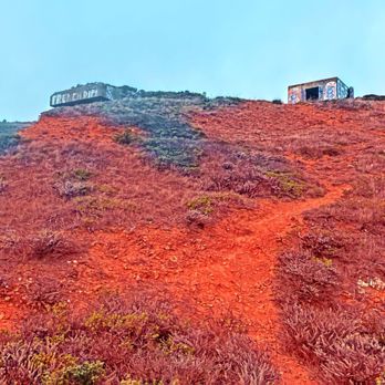 Rodeo Beach - Wolfe Ridge - Beaches Near Me - Sausalito, California