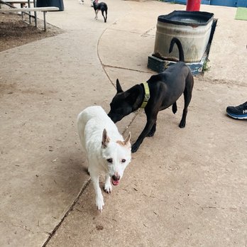 Yard Bar - Bars Near Me - Austin, Texas