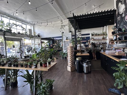 Greenhouse Coffee + Plants by null