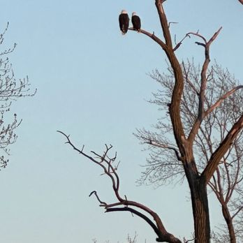 Nature at the Confluence - Eagle sighting on our walk - Recreation Centers Near Me - South Beloit, Illinois Nature at the Confluence - Eagle sighting on our walk - Recreation Centers Near Me - South Beloit, Illinois