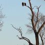 Photo of Nature at the Confluence