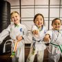 Photo of Ageless Martial Arts