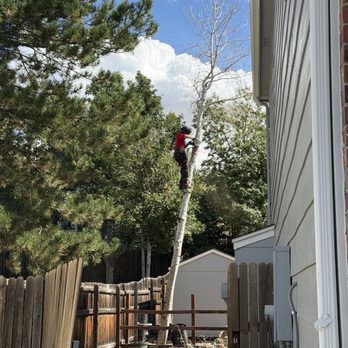 Climbers Choice Tree Care - Tree Services Near Me - Littleton, Colorado Climbers Choice Tree Care - Tree Services Near Me - Littleton, Colorado