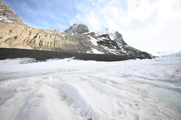 Columbia Icefield by null
