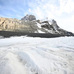 Columbia Icefield - Columbia Icefield - Shoulder of Mt. Andromeda