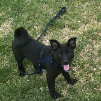 West Coast Pet Memorial - Miss you little bunny bear Luka. - Pet Cremation Services Near Me - Paso Robles, California