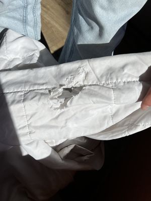 Bungalows Hostel by null