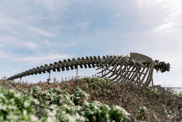 Seymour Marine Discovery Center by null