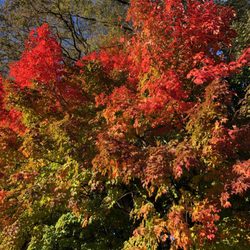 west point foundry preserve - Visit in the fall!