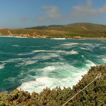 Bluff Trail at Montana De Oro - Hiking Near Me