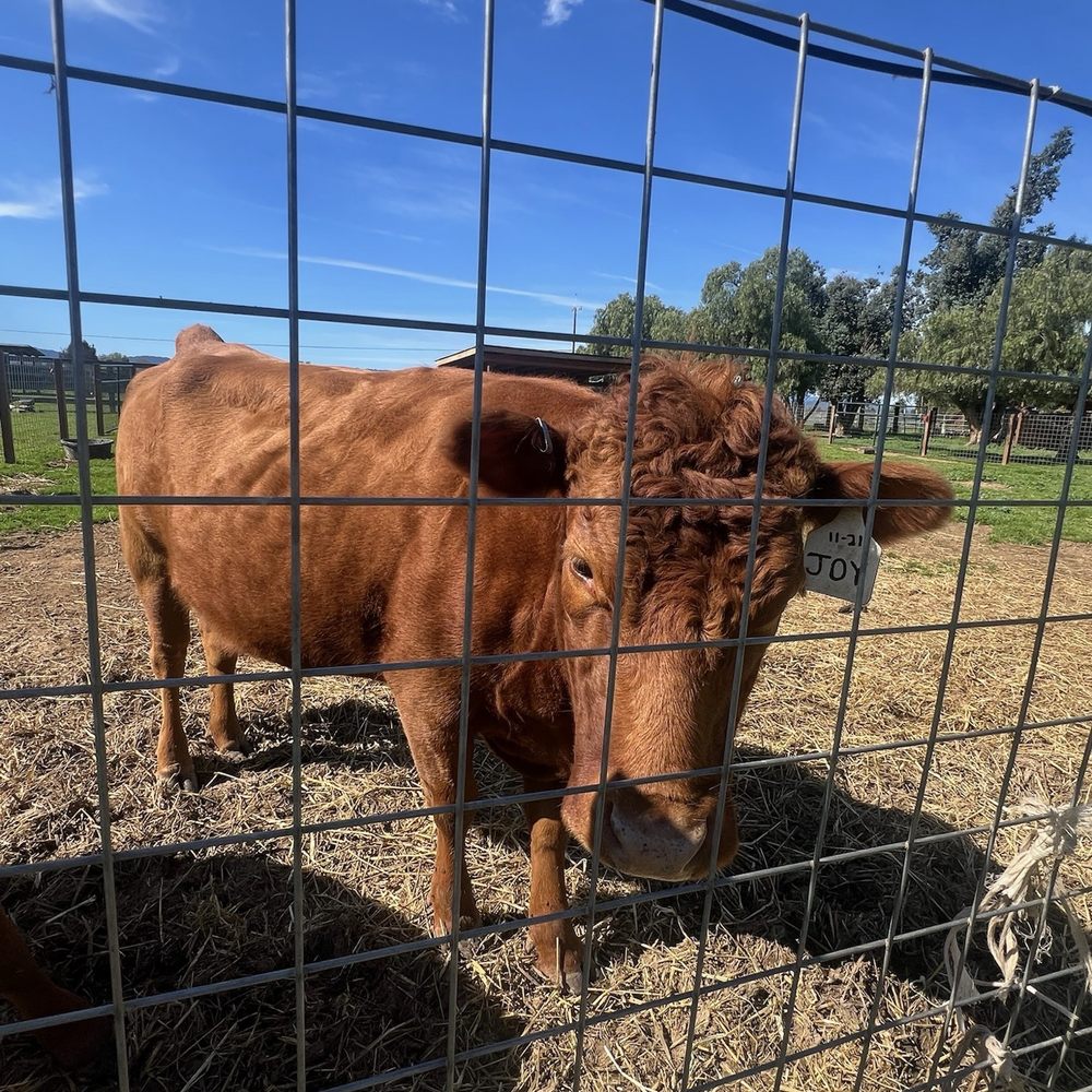 Back-to-Eden Ranch - Attraction Farms Near Me - Gilroy, California Back-to-Eden Ranch - Attraction Farms Near Me - Gilroy, California