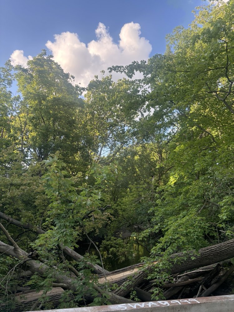 Social spots from Rotary Park