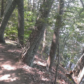 Paugussett State Forest - Hiking Near Me - Newtown, Connecticut Paugussett State Forest - Hiking Near Me - Newtown, Connecticut