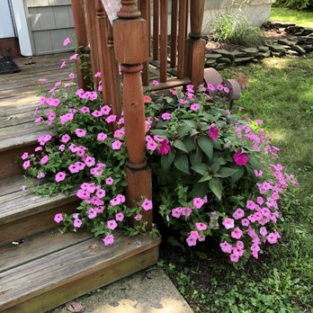Fairless Hills Garden Center - steps leading up to a porch - Home & Garden Near Me - Fairless Hills, Pennsylvania Fairless Hills Garden Center - steps leading up to a porch - Home & Garden Near Me - Fairless Hills, Pennsylvania