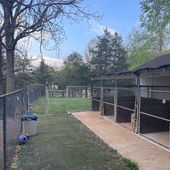 Paws & Claws - Dog outdoors - Pet Boarding Near Me - Amherst, Virginia Paws & Claws - Dog outdoors - Pet Boarding Near Me - Amherst, Virginia
