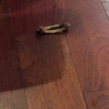 Lemongrass - This was on the floor. Several servers walked right past it. The floor was filthy. - Thai Near Me - Warwick, Rhode Island Lemongrass - This was on the floor. Several servers walked right past it. The floor was filthy. - Thai Near Me - Warwick, Rhode Island