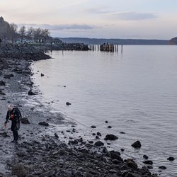 Tacoma Scuba