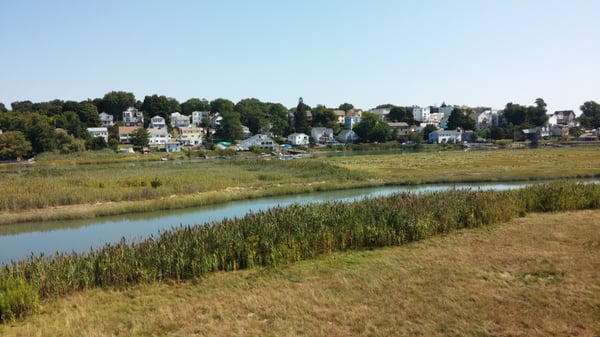 Belle Isle Marsh Reservation by null
