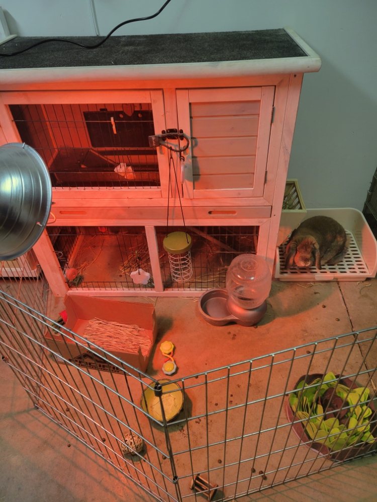 Jackie Manning - pet boarding facility in Meridian, ID