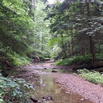 Hocking Hills State Park - Hiking Near Me - Logan, Ohio