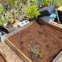 Photo of Cru Community Garden