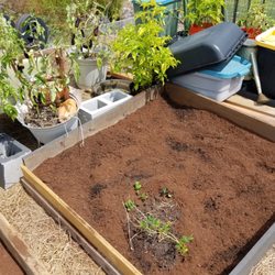 Cru Community Garden