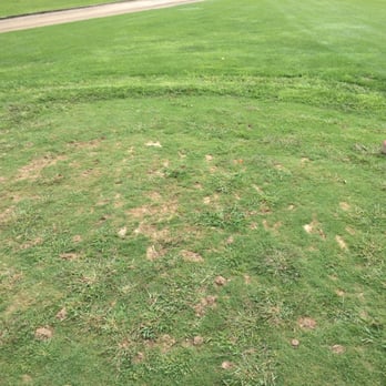 Wheatfield Valley Golf - Ladies tee box. Very sad. - Golf Near Me - Williamston, Michigan Wheatfield Valley Golf - Ladies tee box. Very sad. - Golf Near Me - Williamston, Michigan
