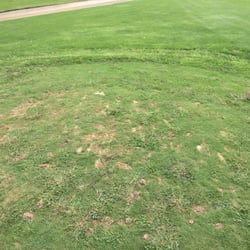 Wheatfield Valley Golf - Ladies tee box. Very sad.