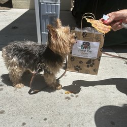 Fancy Pup Treats - Chicken Jerky