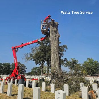 Walls Tree Service - Tree Services Near Me - Alexandria, Louisiana Walls Tree Service - Tree Services Near Me - Alexandria, Louisiana