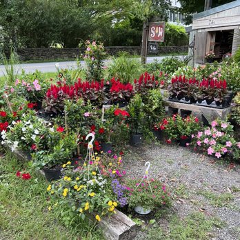 Siw Vegetables - Flowers - Farms Near Me - Chadds Ford, Pennsylvania Siw Vegetables - Flowers - Farms Near Me - Chadds Ford, Pennsylvania