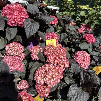 SARGENT’S ON 2ND - Updated March 2026 - 153 Photos & 11 Reviews - 1811 ...