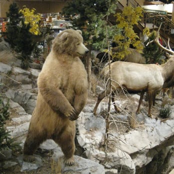 Cabela’s  - Outdoor Gear Near Me - Hoffman Estates, Illinois