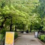 Photo of Stuyvesant Square