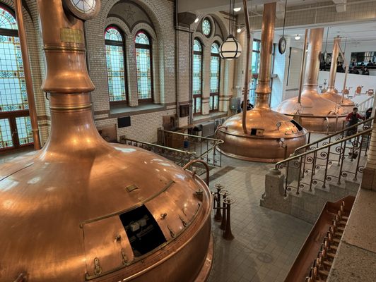 Heineken Experience by null