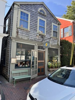 Black-Eyed Susan's by null