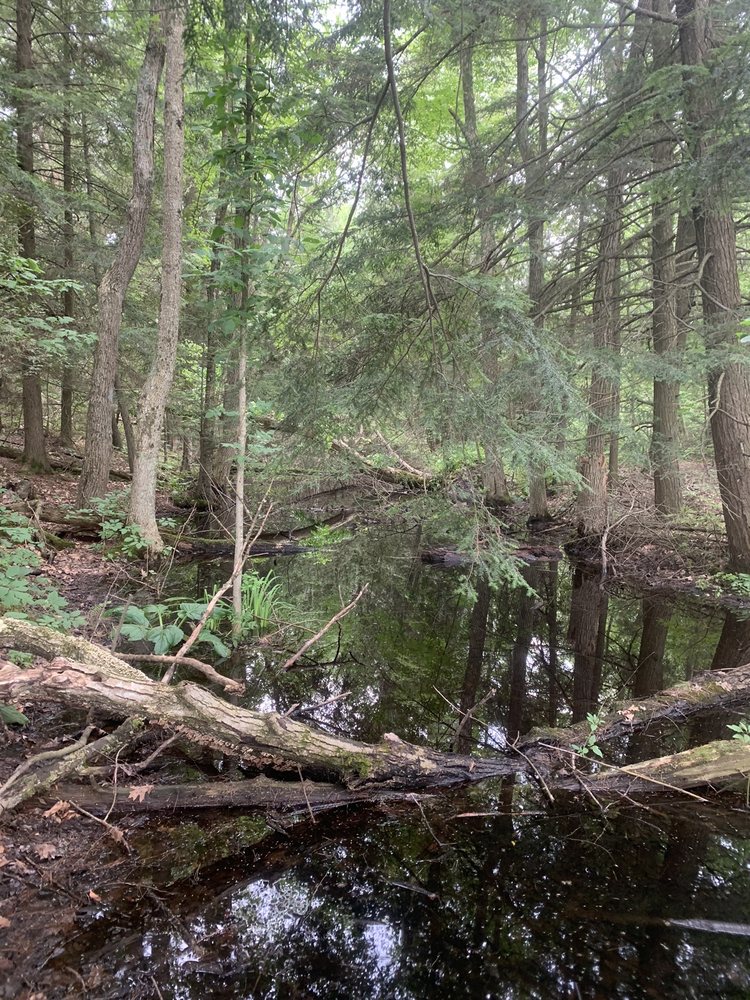 SCHEFFEL’S HIDEAWAY CAMPGROUND Updated September 2024 15 Photos