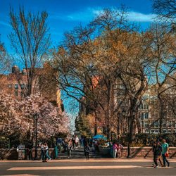 Union Square - West side of park